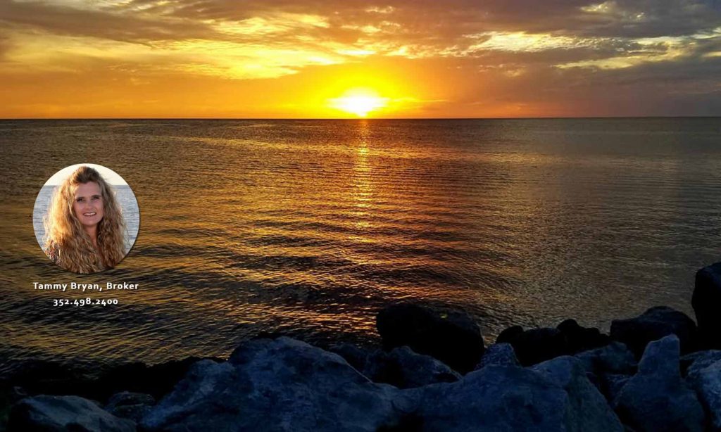 floridawaterfronthomedixiecountyhorseshoebeachfloridaexterior3